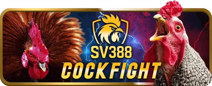 Thưởng độc quyền cho thành viên VIP Wipwin